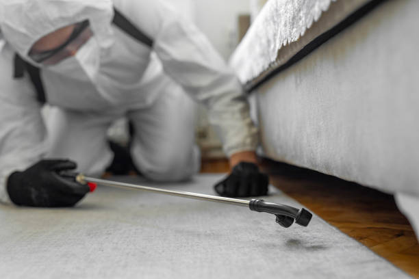 Professional Termite Control technician working in Dunkirk, IN