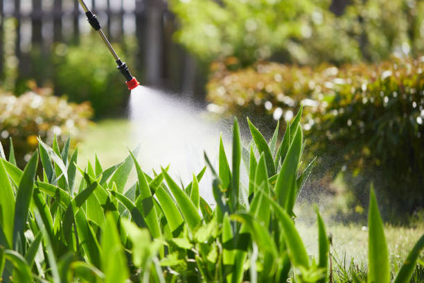 24/7 Emergency Termite Control experts in Dunkirk, IN
