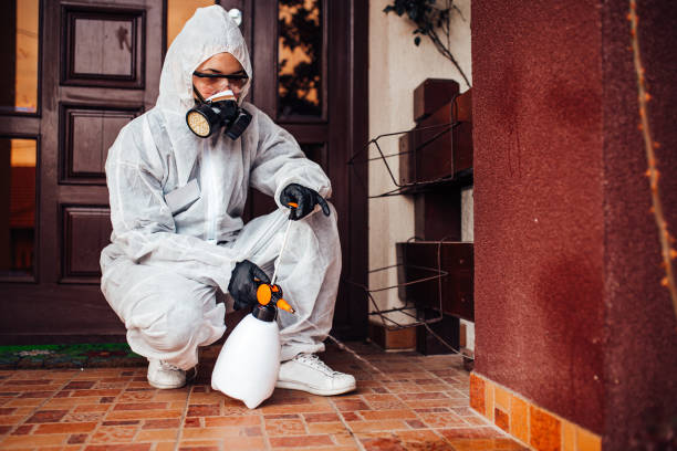 Reliable Termite Control contractor in Dunkirk, IN by Nex Pest Control